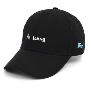 Embroidered dad hat, poney tail hat, hat